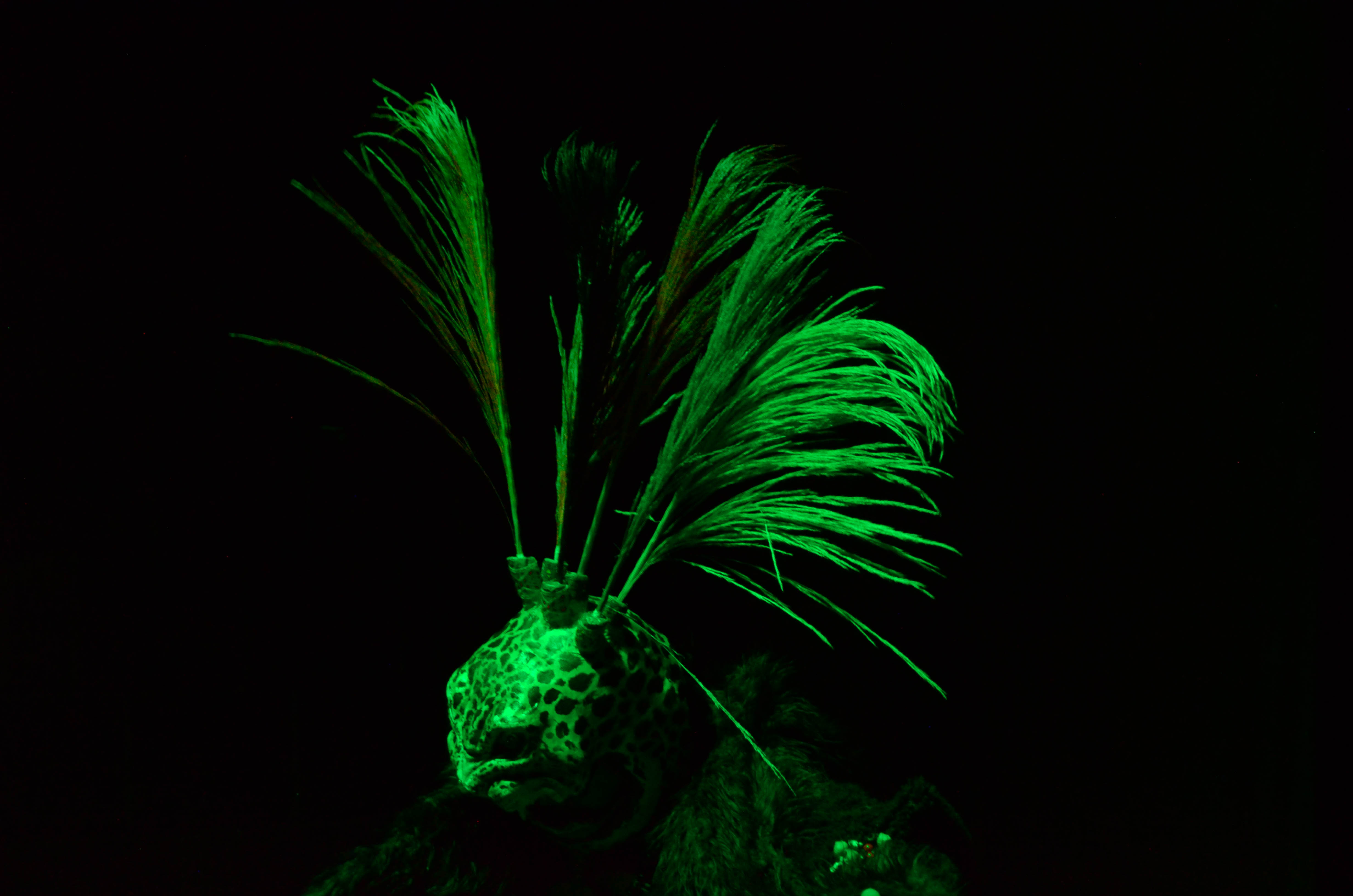 Fotografía FESTIAB 8