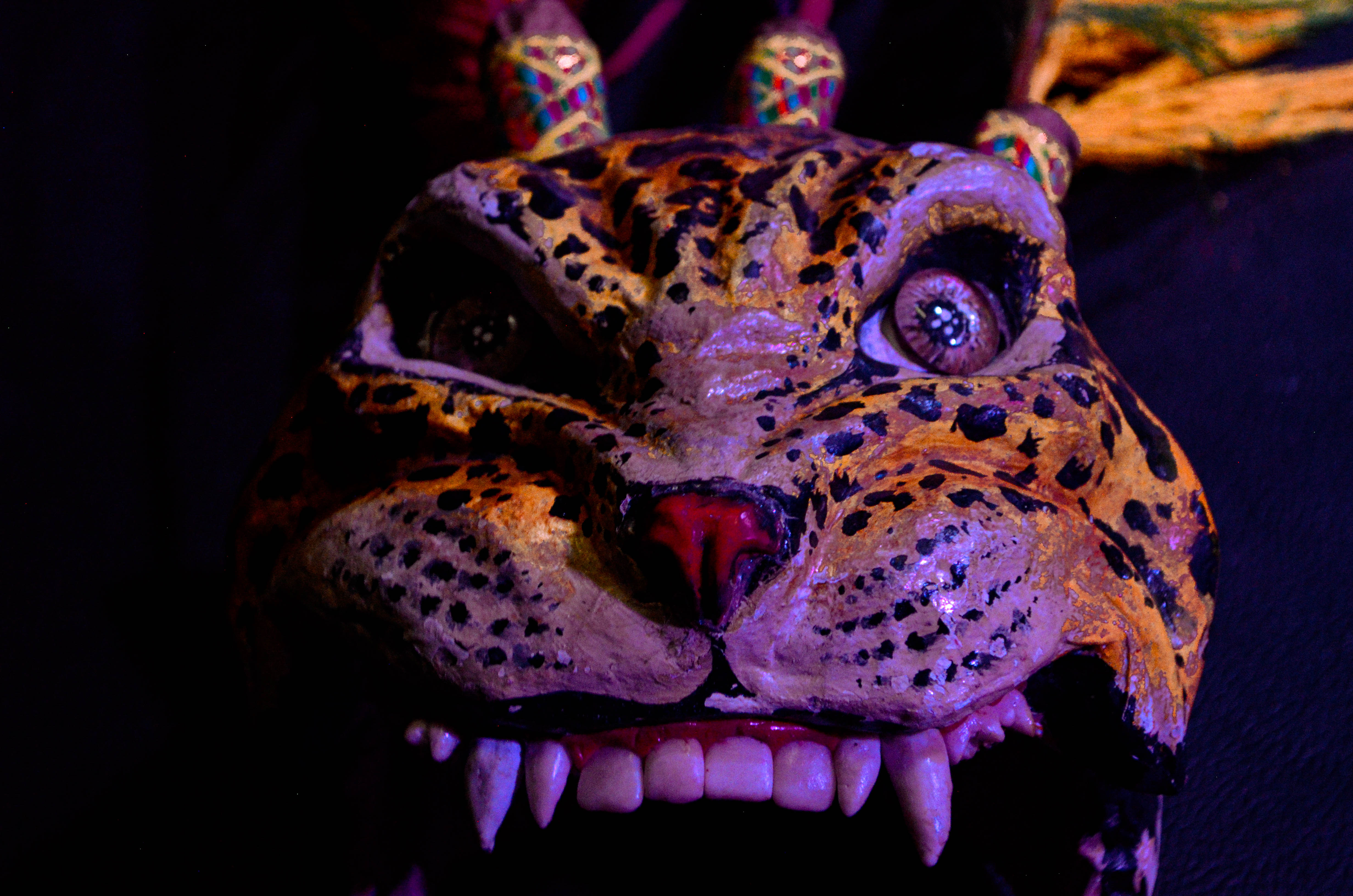 Fotografía FESTIAB 9